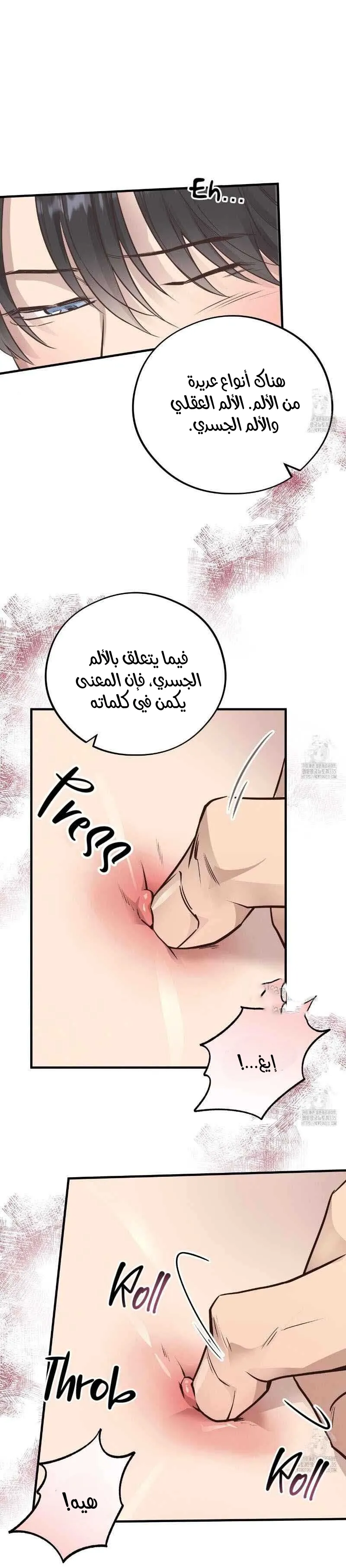 دب العسل – الفصل 40 page 13